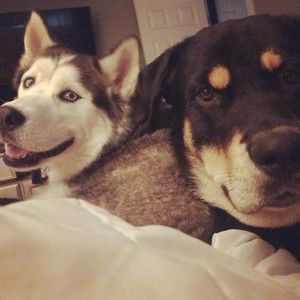 Meet your Posher, Evan miz